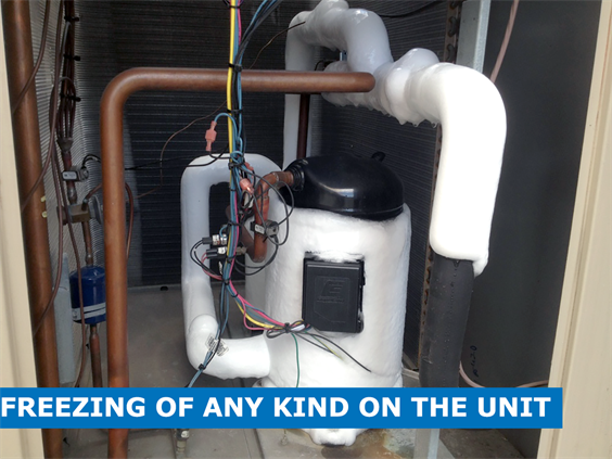 freezing compressor