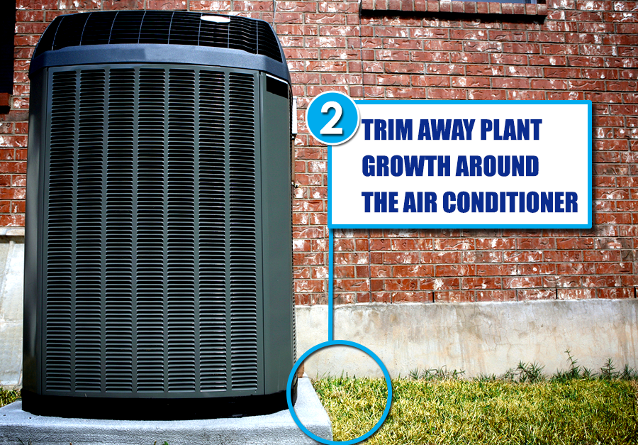 trim plants in Dallas